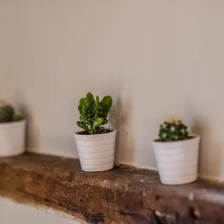 Casa de Férias Maison De Charme Dans Quartier Historique Liège